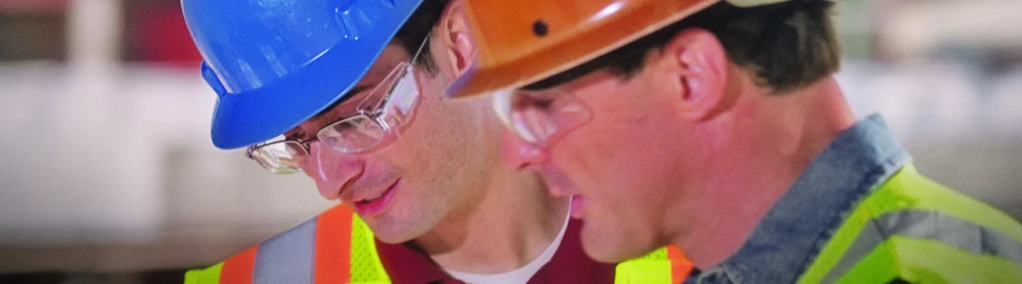 Culture du chantier