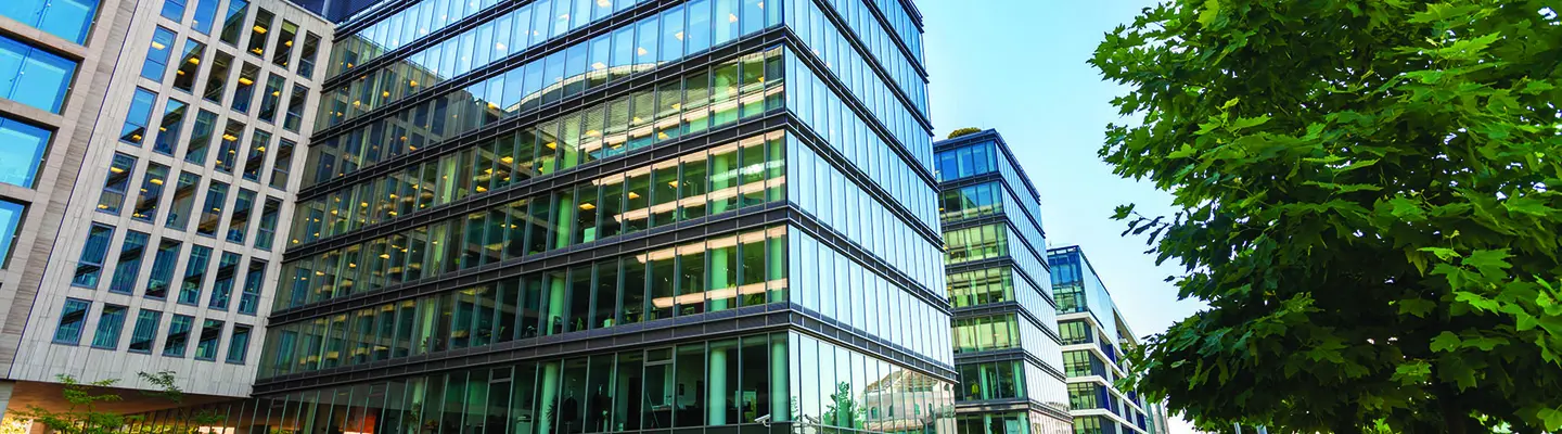 image d’un immeuble de bureaux en verre près d’arbres sous un ciel bleu