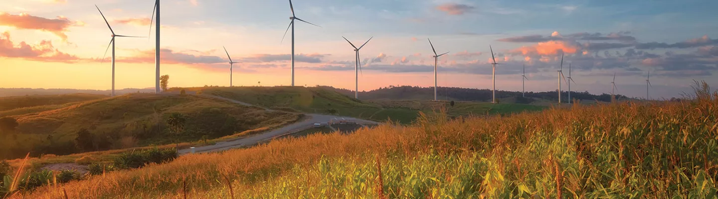 Image d’un héros de l’environnement – moulins à vent