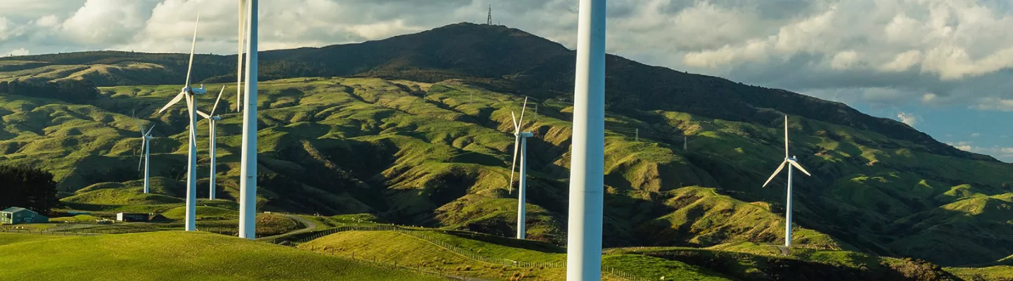 Tapis éoliens
