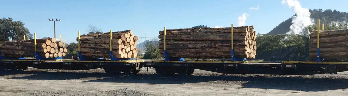  Conteneurs d’expédition chargés de bûches de bois empilées, préparés et sécurisés pour l’expédition dans un chantier de fret.