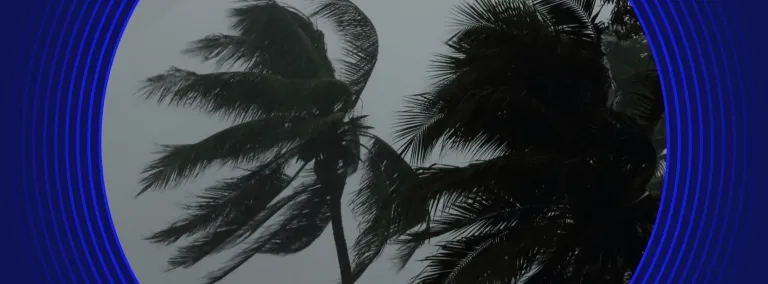 Ouragan en floride à poignée cylindrique