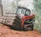 Chargeuse à chenilles Takeuchi rouge