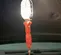 Lampe tombante incandescente de 75W, 6 à 15 m, 115V ou 120V