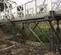 Ponts temporaires