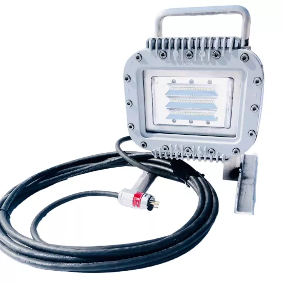 Lampe de travail portative Worksite argent, 70 W, antidéflagrante
