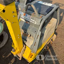 Compacteur à plaque vibratoire Wacker Neuson DPU6555He 2023